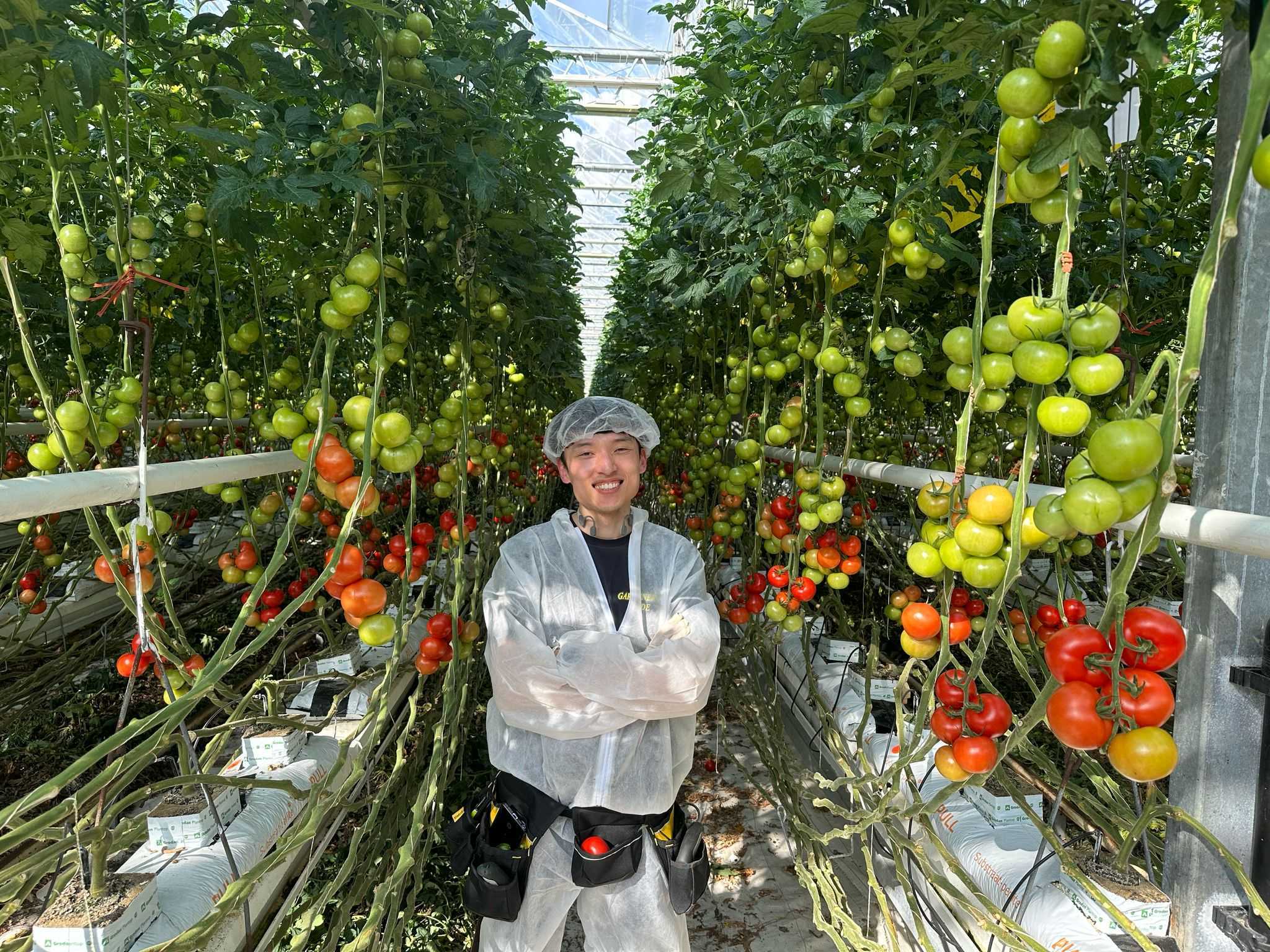 Solution in the field